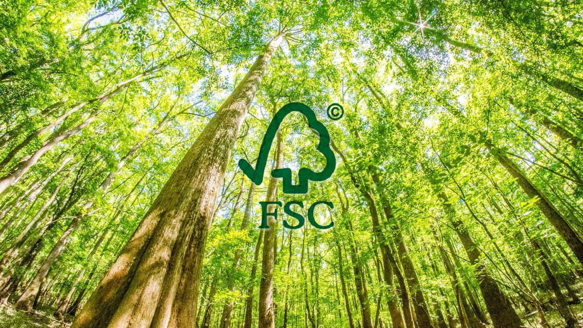 Congaree 'Champion' Trees, Synchronous Fireflies and More.jpg