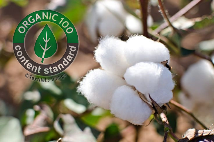 Cotton Fibers  Types of Fabric  Natural Fibers.jpg